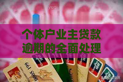 个体户业主贷款逾期的全面处理方法和解决方案是什么？