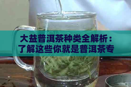 大益普洱茶种类全解析：了解这些你就是普洱茶专家！