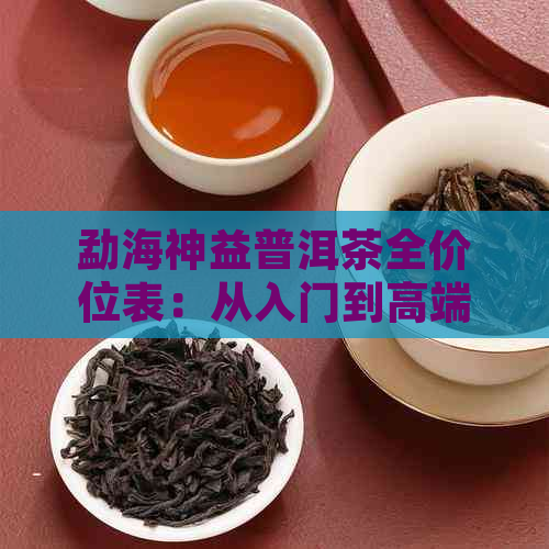 勐海神益普洱茶全价位表：从入门到高端，一目了然的价格范围解析