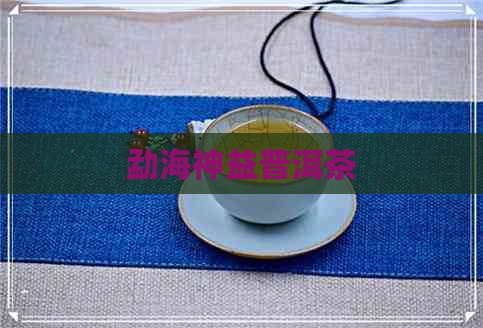 勐海神益普洱茶