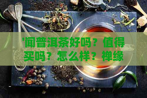 '闻普洱茶好吗？值得买吗？怎么样？禅缘景谷闻普洱茶，是不是学费茶？'