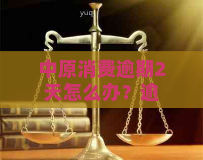 中原消费逾期2天怎么办？逾期后多久会联系客户？如何解决逾期问题？