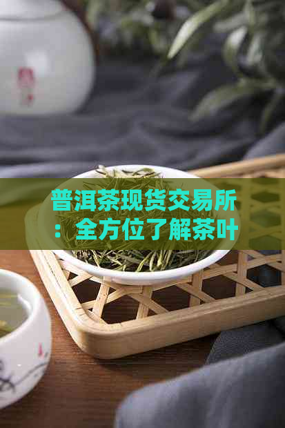 普洱茶现货交易所：全方位了解茶叶交易、品质与价格，助您轻松投资