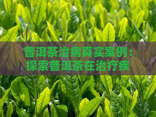 普洱茶治病真实案例：探索普洱茶在治疗疾病方面的作用及可能的疗效。