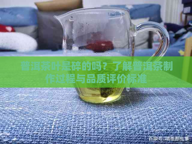 普洱茶叶是碎的吗？了解普洱茶制作过程与品质评价标准