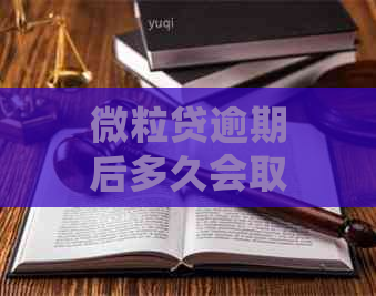 微粒贷逾期后多久会取消分期还款，全额还款攻略