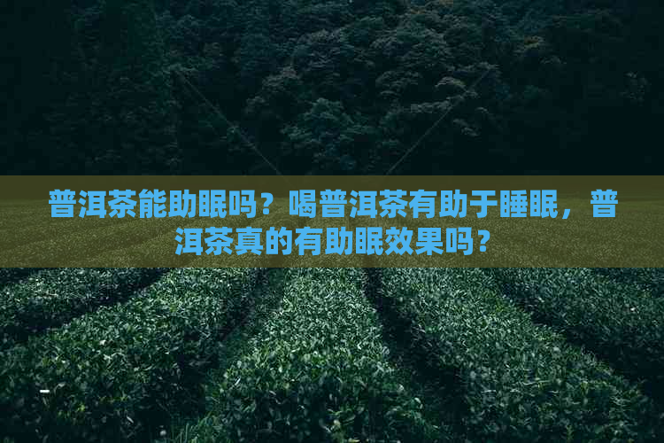 普洱茶能助眠吗？喝普洱茶有助于睡眠，普洱茶真的有助眠效果吗？