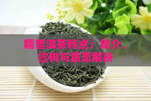 糯普洱茶特点：简介、古树与意思解析