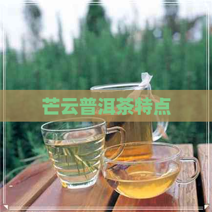 芒云普洱茶特点