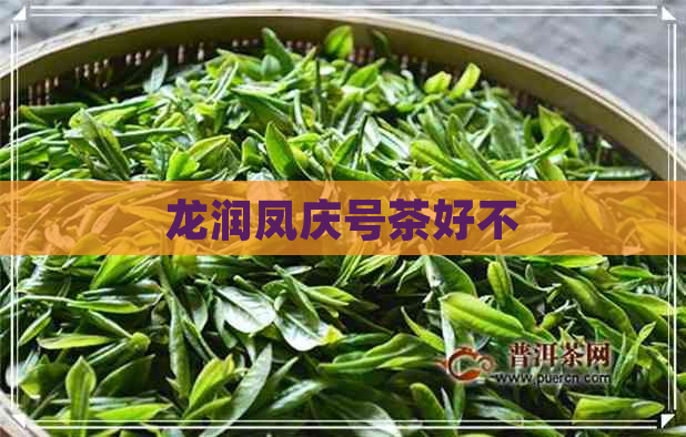 龙润凤庆号茶好不