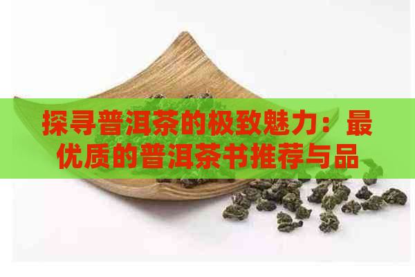 探寻普洱茶的极致魅力：更优质的普洱茶书推荐与品鉴指南