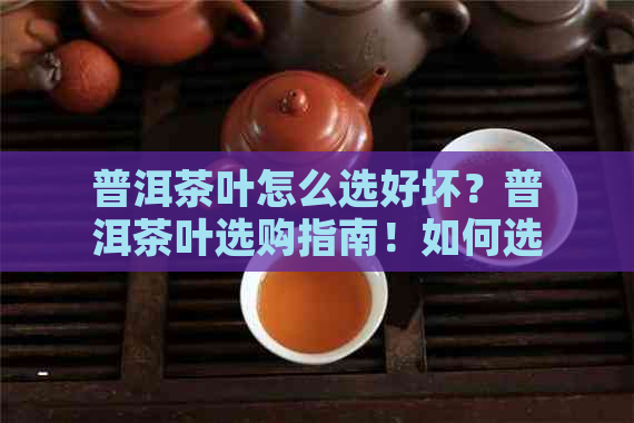 普洱茶叶怎么选好坏？普洱茶叶选购指南！如何选出真正的好茶？