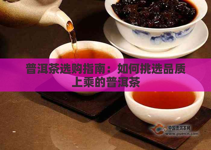 普洱茶选购指南：如何挑选品质上乘的普洱茶