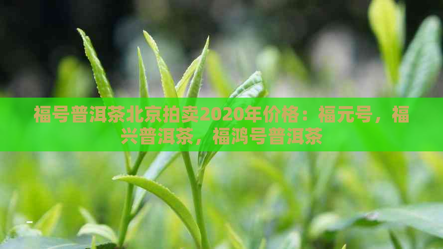 福号普洱茶北京拍卖2020年价格：福元号，福兴普洱茶，福鸿号普洱茶