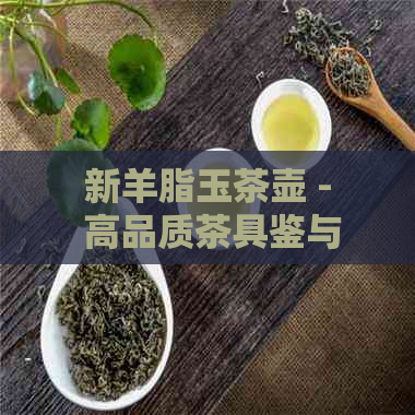 新羊脂玉茶壶 - 高品质茶具鉴与价格比较