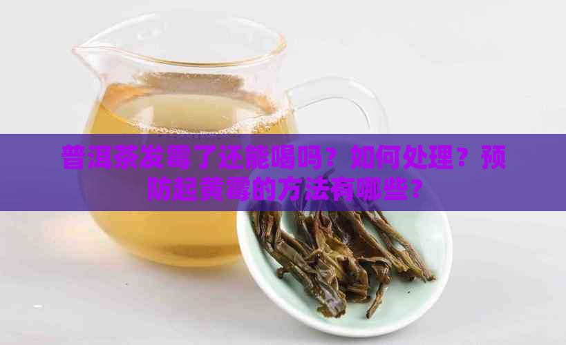 普洱茶发霉了还能喝吗？如何处理？预防起黄霉的方法有哪些？