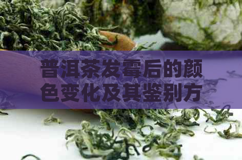 普洱茶发霉后的颜色变化及其鉴别方法