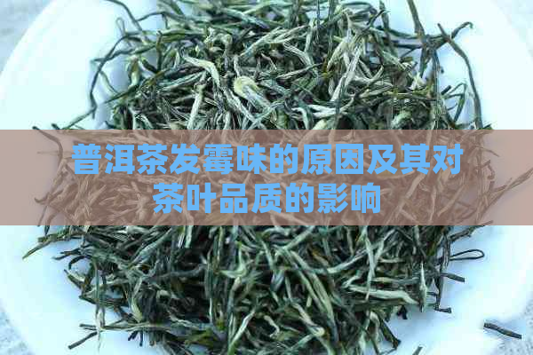 普洱茶发霉味的原因及其对茶叶品质的影响