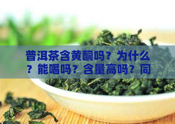 普洱茶含黄酮吗？为什么？能喝吗？含量高吗？同时，普洱茶也含有茶黄素。