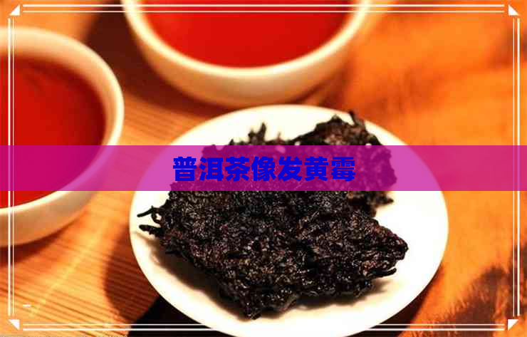 普洱茶像发黄霉