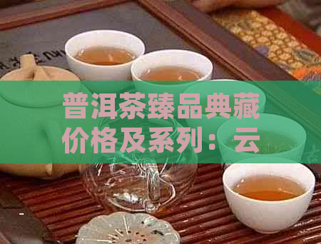 普洱茶臻品典藏价格及系列：云南永兴茶厂的普洱茶臻品饼等臻品。