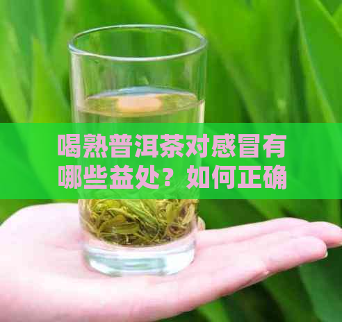 喝熟普洱茶对感冒有哪些益处？如何正确饮用以达到效果？