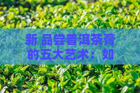 新 品尝普洱茶膏的五大艺术：如何选择饮用方式