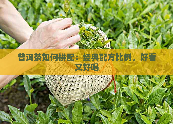 普洱茶如何拼配：经典配方比例，好看又好喝