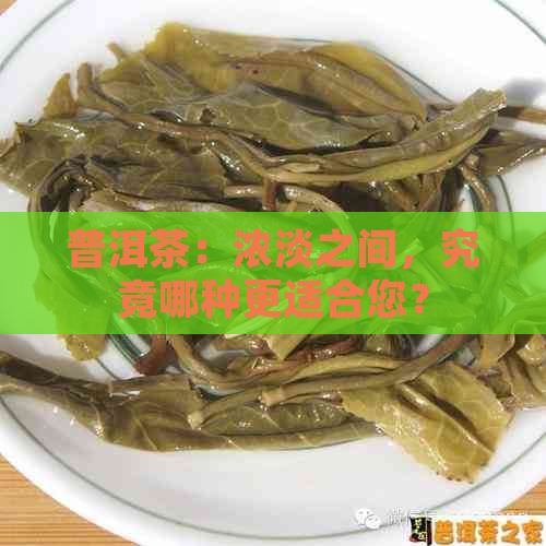 普洱茶：浓淡之间，究竟哪种更适合您？