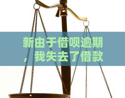 新由于借呗逾期，我失去了借款资格，应该如何解决这个问题？