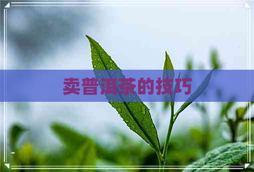 卖普洱茶的技巧