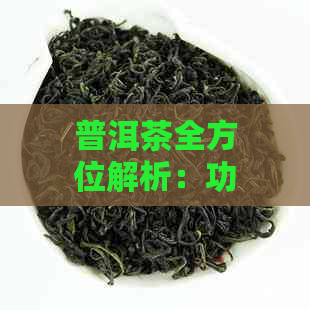 普洱茶全方位解析：功效、作用、禁忌及注意事项，让您全面了解普洱茶