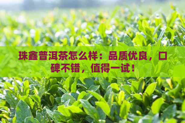 珠鑫普洱茶怎么样：品质优良，口碑不错，值得一试！