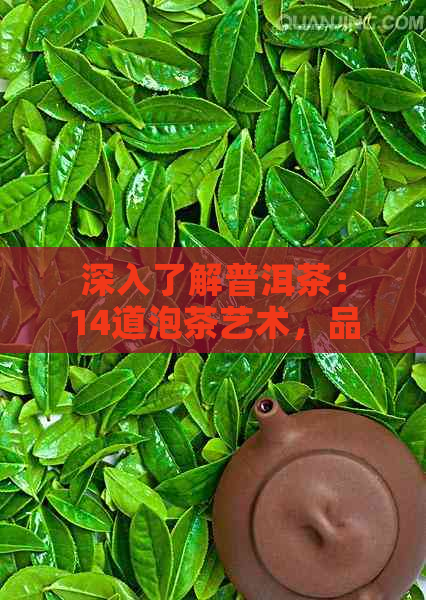 深入了解普洱茶：14道泡茶艺术，品鉴与鉴的完美融合