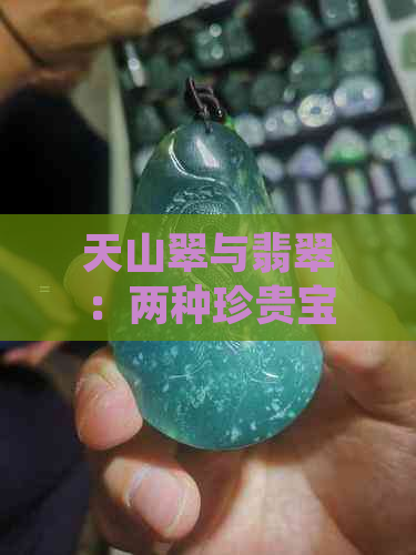 天山翠与翡翠：两种珍贵宝石的鉴别之道