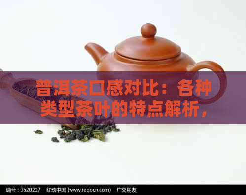 普洱茶口感对比：各种类型茶叶的特点解析，助你挑选最适合的普洱茶