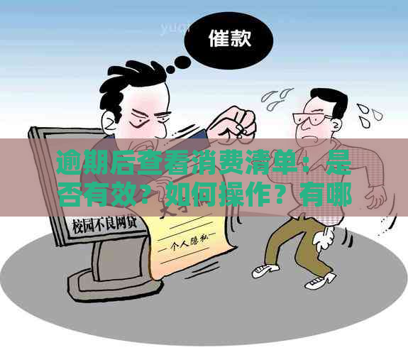 逾期后查看消费清单：是否有效？如何操作？有哪些影响？