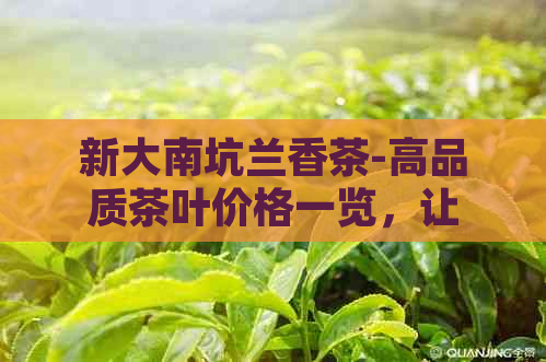 新大南坑兰香茶-高品质茶叶价格一览，让您轻松了解市场行情。