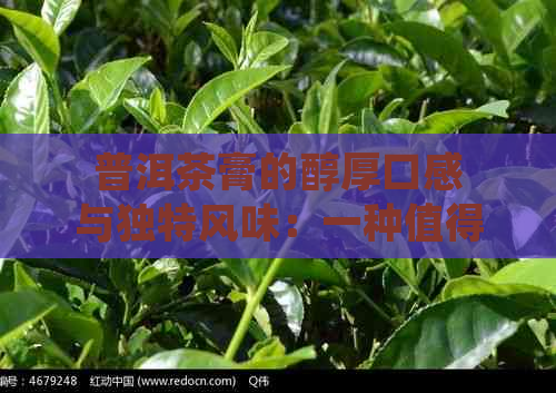 普洱茶膏的醇厚口感与独特风味：一种值得品鉴的中国茶文化