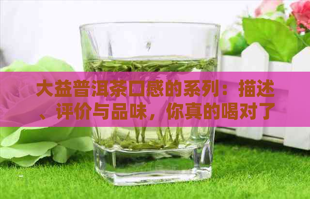 大益普洱茶口感的系列：描述、评价与品味，你真的喝对了吗？