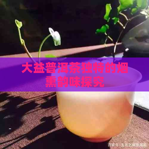 大益普洱茶独特的烟熏韵味探究