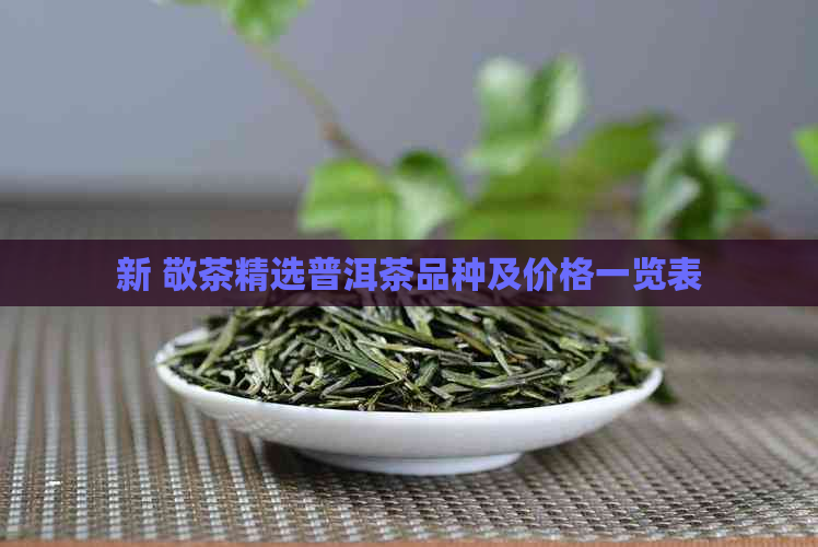 新 敬茶精选普洱茶品种及价格一览表