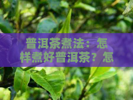 普洱茶煮法：怎样煮好普洱茶？怎么泡、怎么喝？能煮茶喝吗？