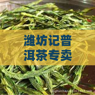 潍坊记普洱茶专卖店：品茗云南大叶种，领略普洱韵味。