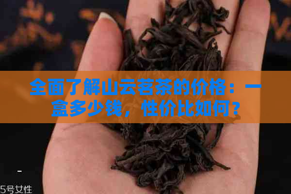 全面了解山云茗茶的价格：一盒多少钱，性价比如何？