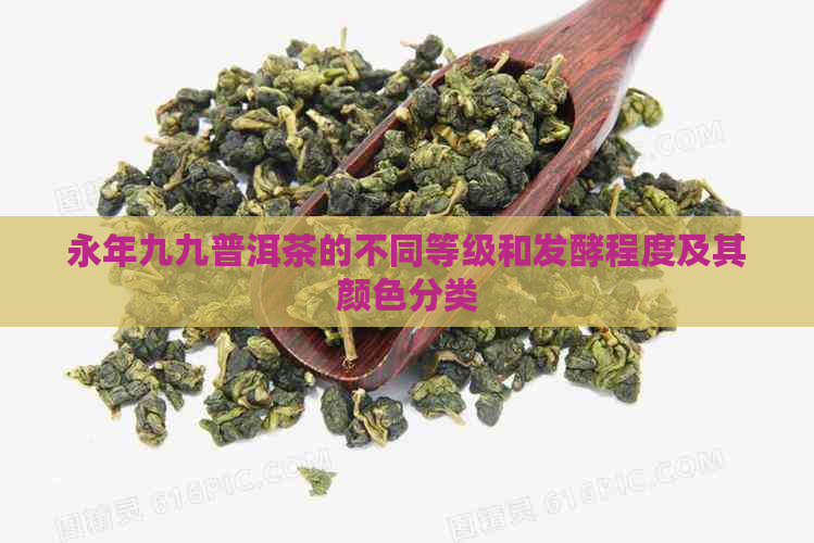 永年九九普洱茶的不同等级和发酵程度及其颜色分类