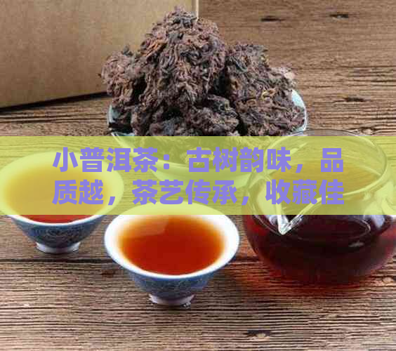 小普洱茶：古树韵味，品质越，茶艺传承，收藏佳品