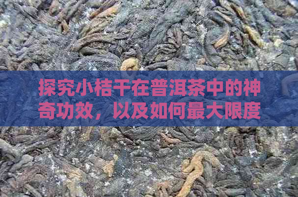 探究小桔干在普洱茶中的神奇功效，以及如何更大限度地利用这一独特元素