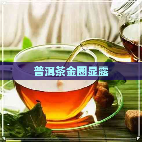 普洱茶金圈显露