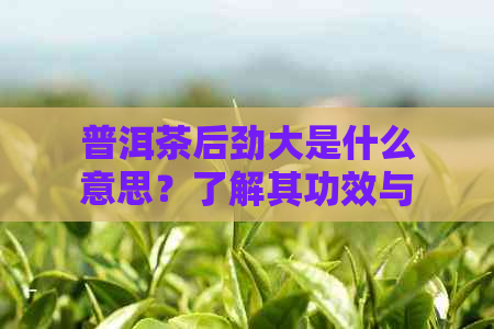 普洱茶后劲大是什么意思？了解其功效与作用，品尝更美味！